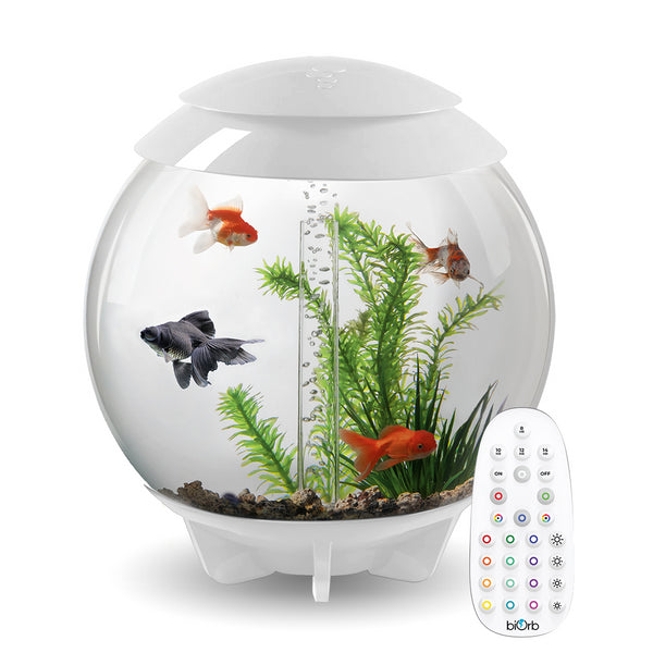 履き心地◎ 新品球体水槽 BiOrb halo 60L - 通販 - www.drelciopiresjr