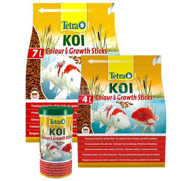 Tetra Pond koi sticks - koi food for colourful fish and improved water  quality, various sizes and variants. : : Garden