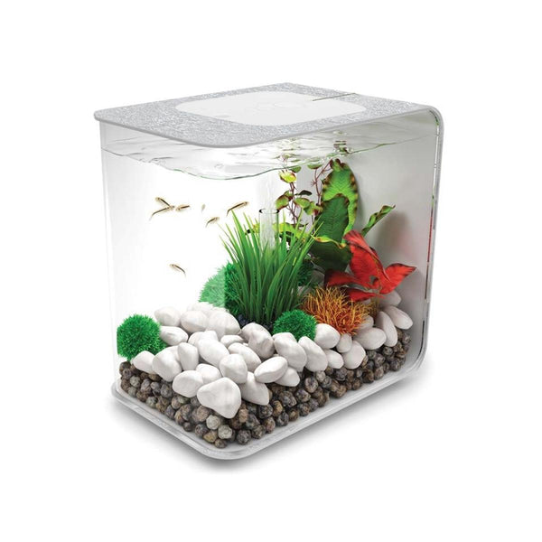 FLOW 30 Aquarium with Standard LED white light – biOrb-uk