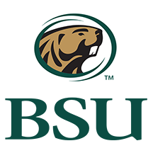 my bsu bemidji state