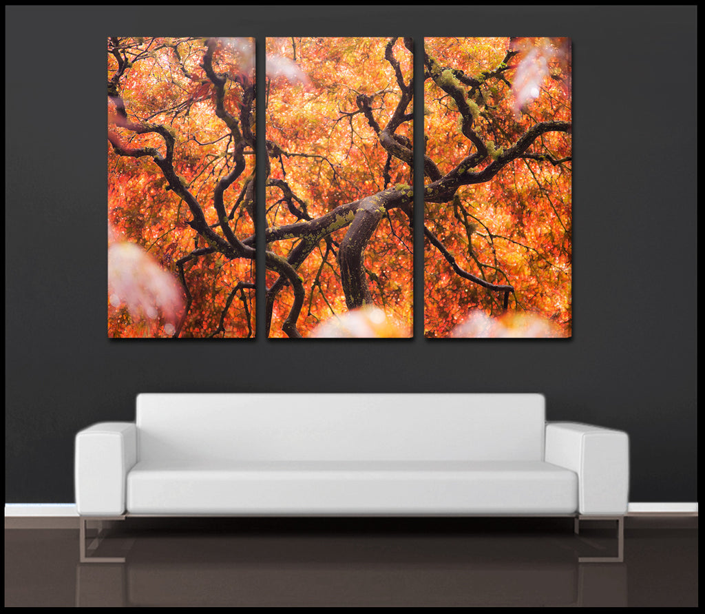 "Tree of Color" Abstract Nature 3-Piece Fine Art Canvas Wall Display