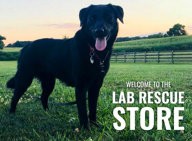 Lab Rescue LRCP Store