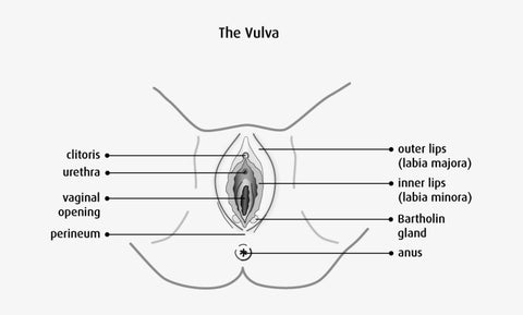 Vulva Skin Care