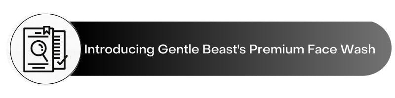gentle beast face wash for men introduction