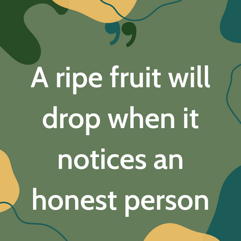 A ripe fruit will drop when it notices an honest person | Nigerian Proverb