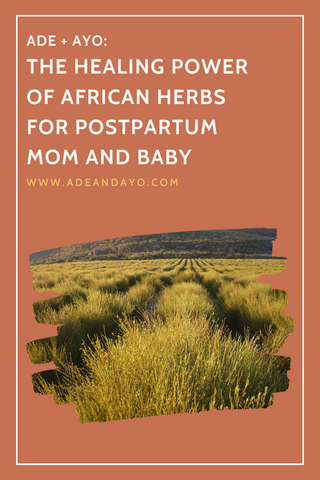 African Herbs for Postpartum Care | Ade + Ayo