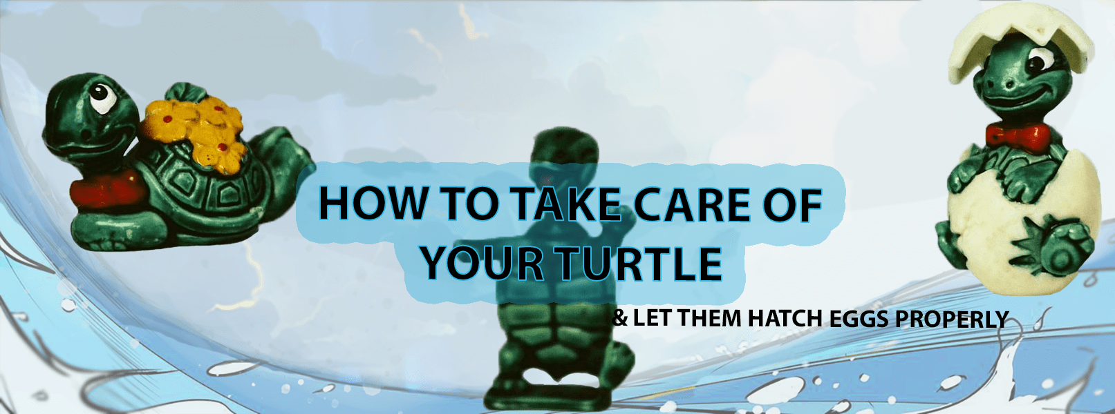 How to take care of your turtle | Turtle Store