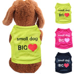 Spring pet clothes