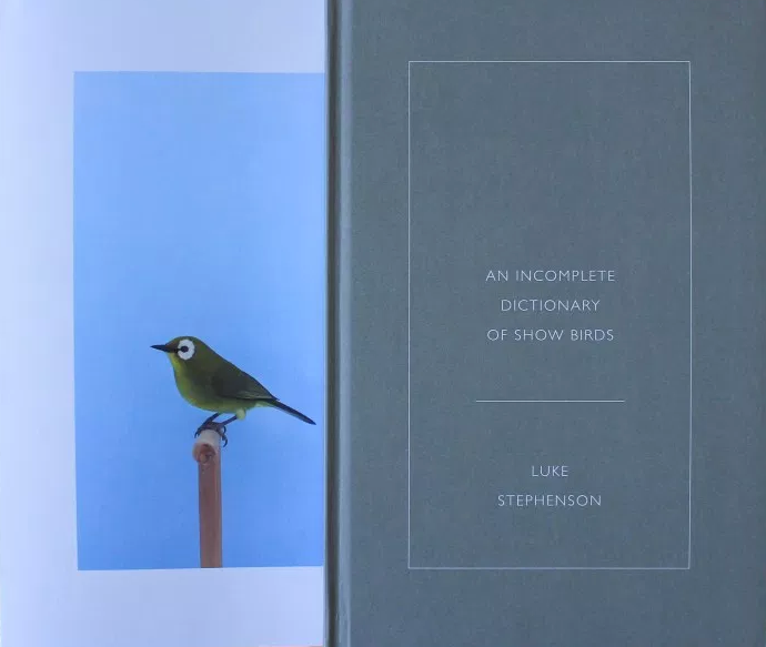 新作アイテム Like Stephenson dictionary of show birds inspektorat