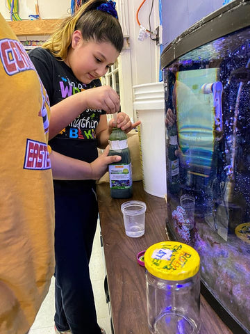 Natchaug Elementary School preparing to culture rotifers