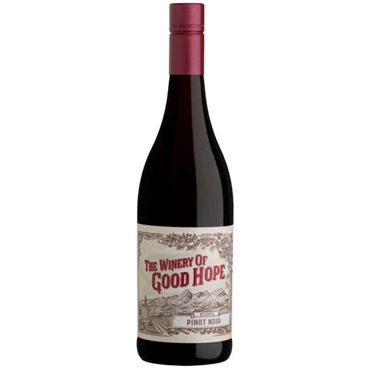 Вина 2013. Вино Winery of good hope Mountainside Shiraz 0.75 л. Вино the Winery of good hope Bush Vine Chenin Blanc 0.75 л. Вино the Winery of good hope Bush Vine Pinotage 0.75 л. Pinotage виноградник.