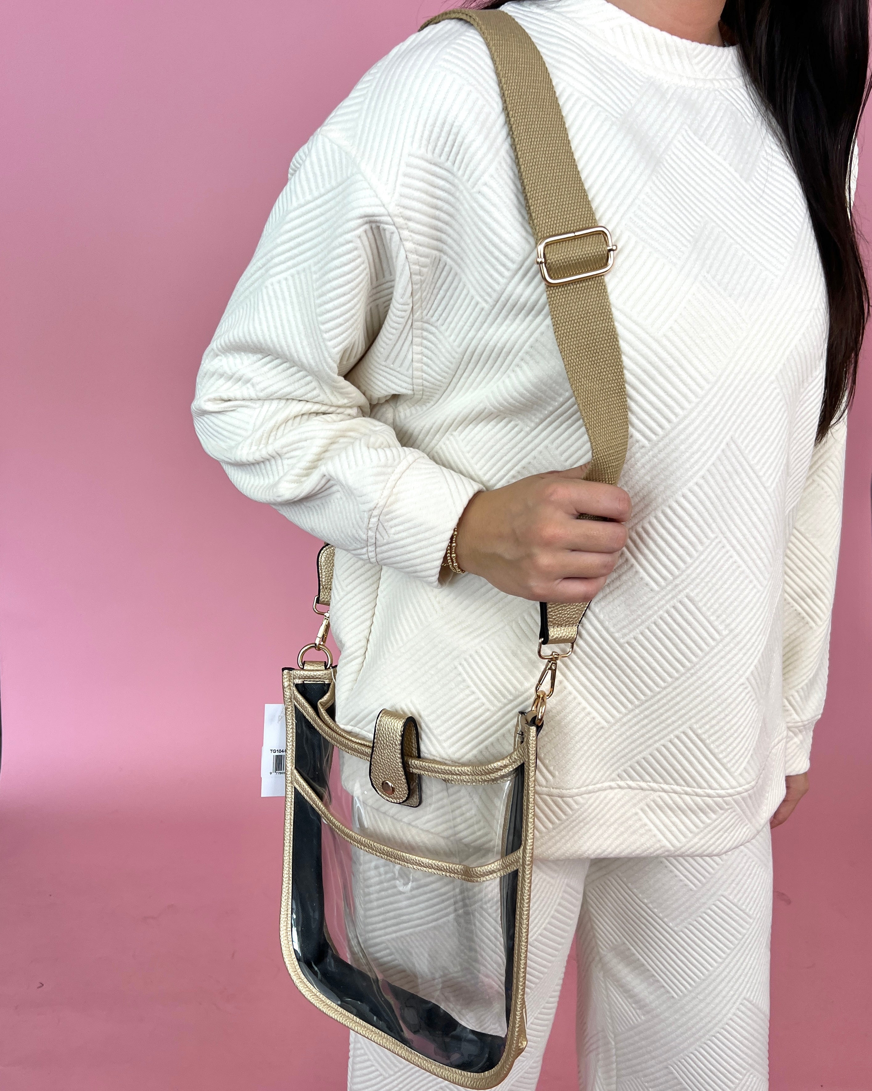 Never Full Grey Clear Crossbody Bag