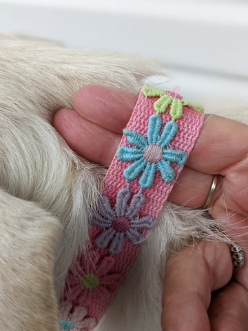 two finger trick for dog collars