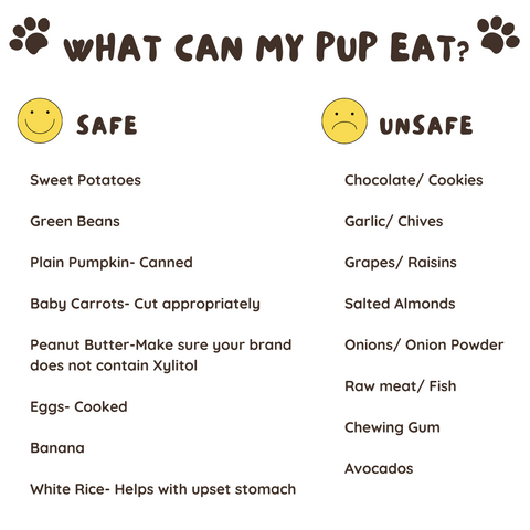 what my pup can eat