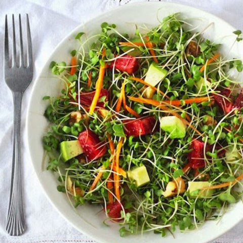 Microgreen Salad Recipe