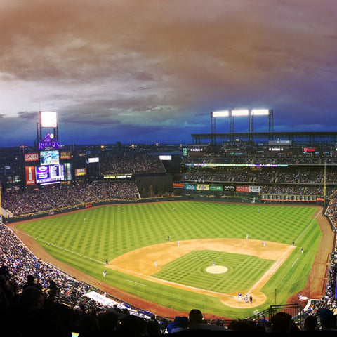 a baseball field full of fans