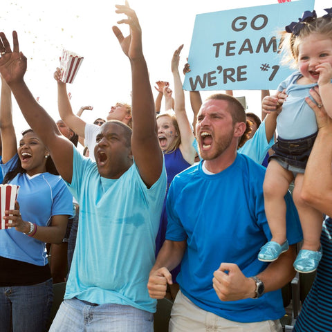 fans at a sporting game