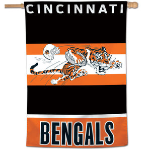 Buy NFL Cincinnati Bengals SB Championship Ticket Collection, 18