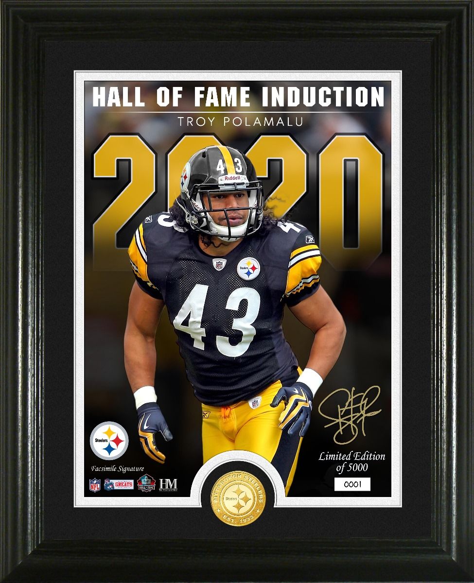 Hines Ward and the Pittsburgh Steelers: Super Bowl XL (Super Bowl  Superstars)