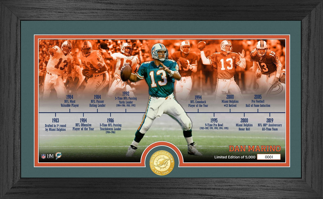 Dan Marino Miami Dolphins Jersey IMPACT Frame