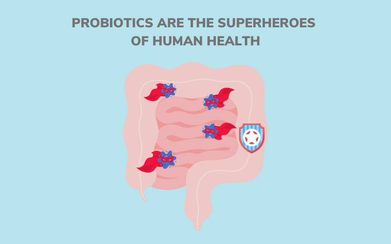probiotics are the superheroes of human health