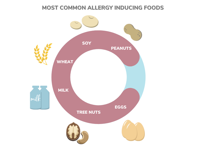 Most Common Allergy Inducing Foods