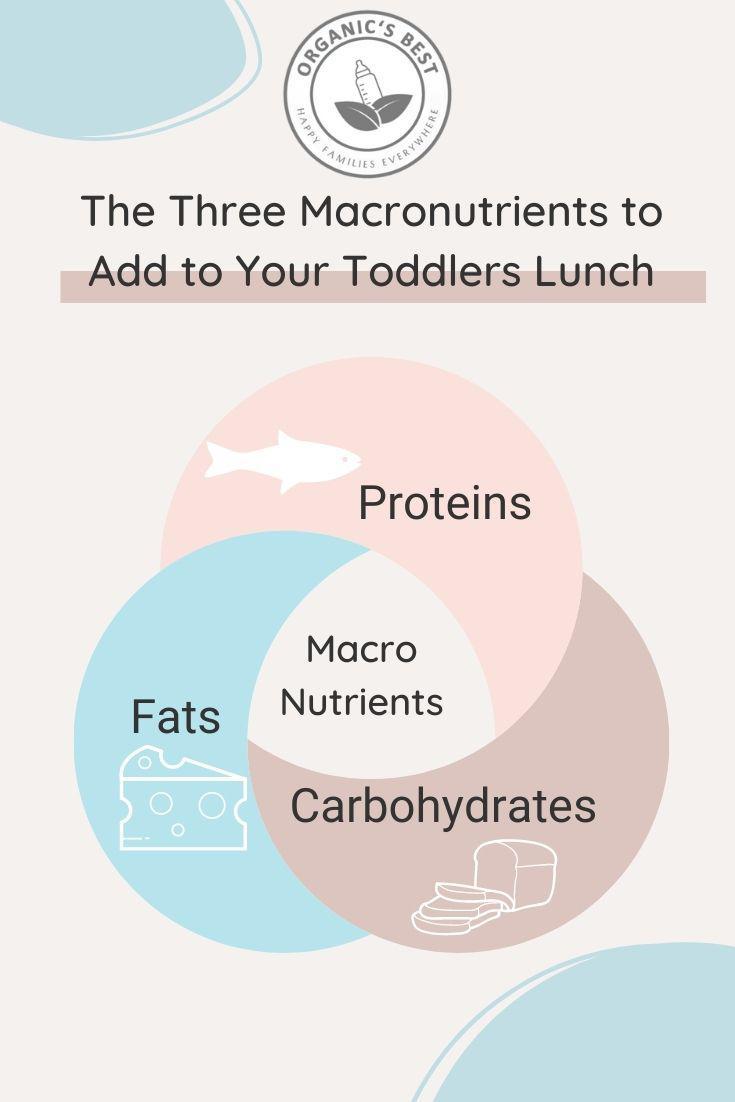 Macronutrients to Add to Your Toddlers Lunch