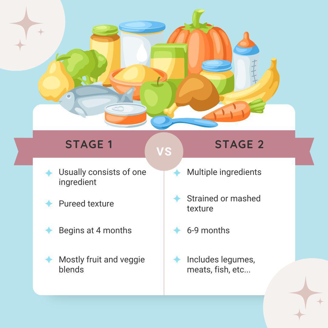 Stage 1 vs stage 2 baby foods | Organic's Best