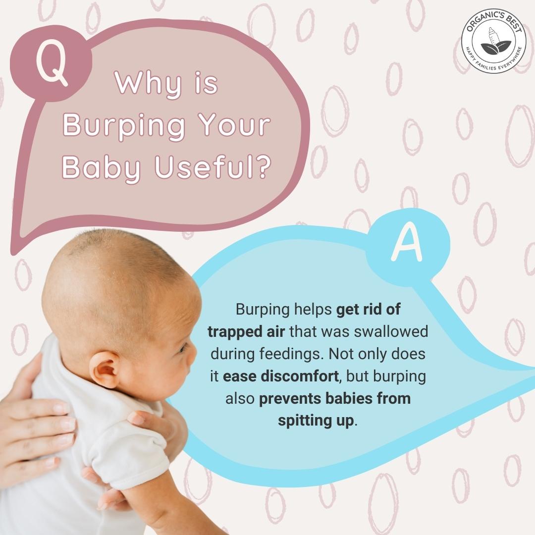 Why is Burping Your Baby Useful? | Organic's Best