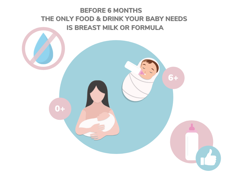 Before 6 months the only food and drinks your baby needs is breast milk or formula