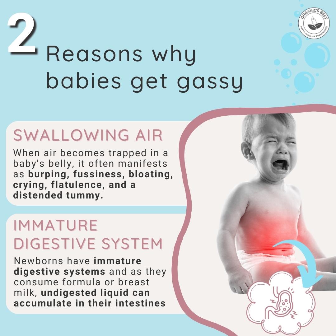Why babies get gassy | Organic's Best