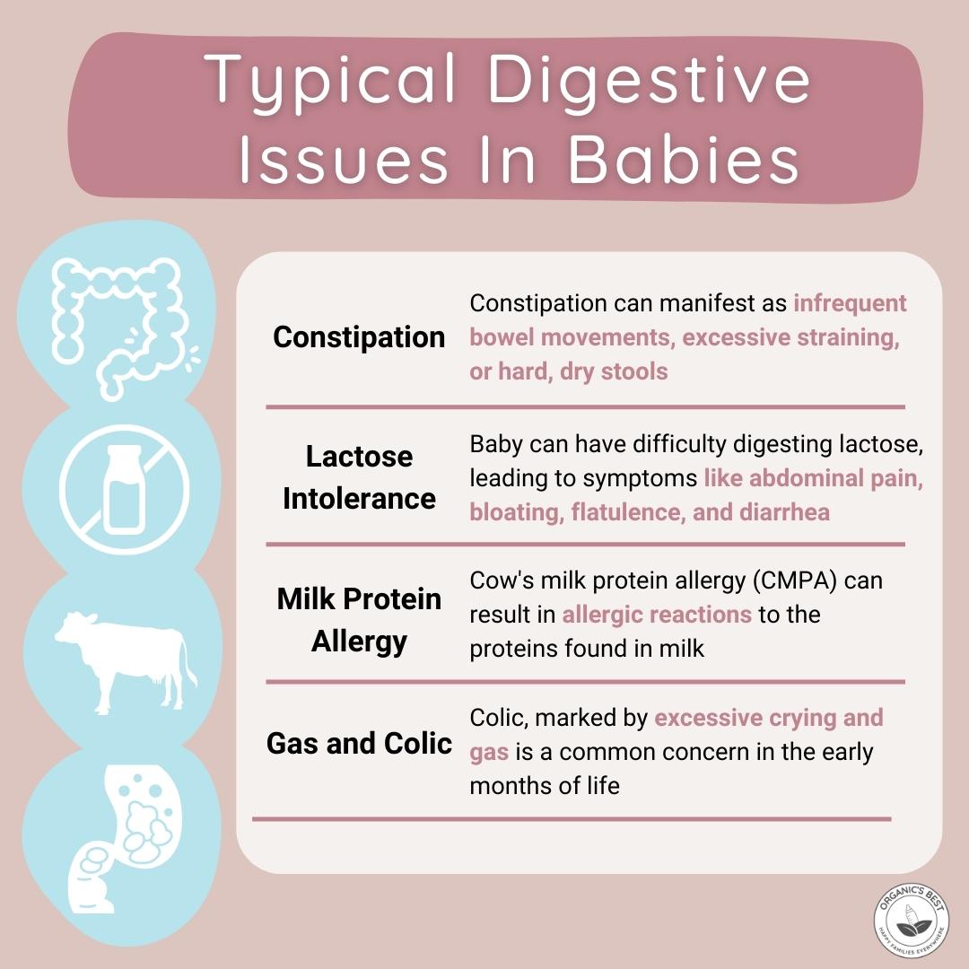 Typical Digestive Issues In Babies | Organic's Best