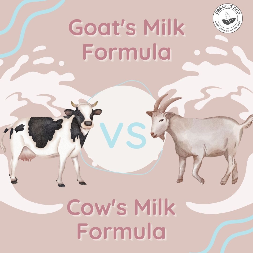 Goat vs. Cow Milk - The main differences | Organics Best