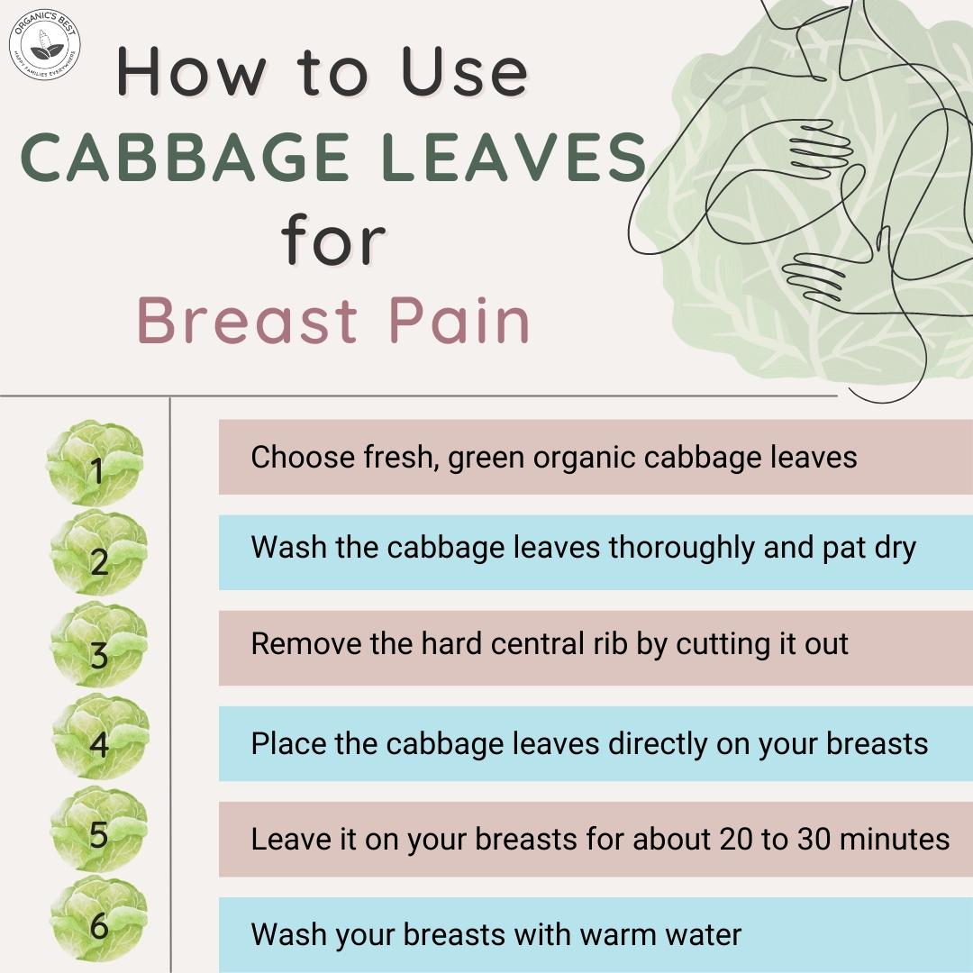 How to Use Cabbage Leaves for Breast Pain | Organic's Best
