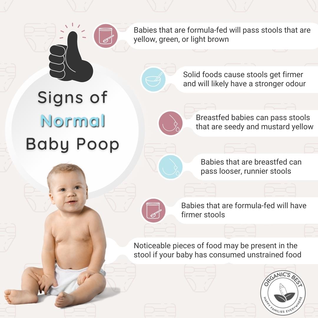 characteristics that indicate that your baby's poops are healthy | Organic's Best