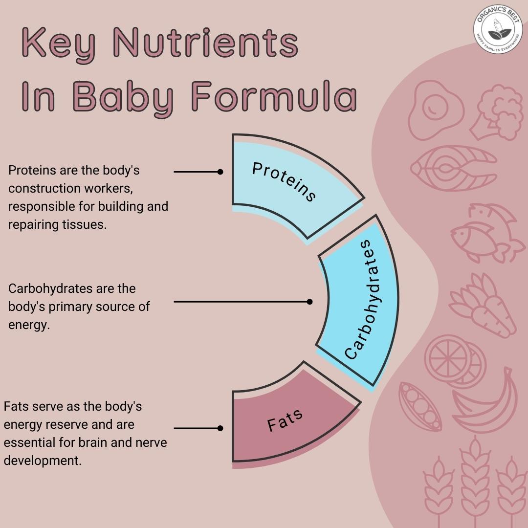 Understanding Key Nutrients in Baby Formula | Organic's Best