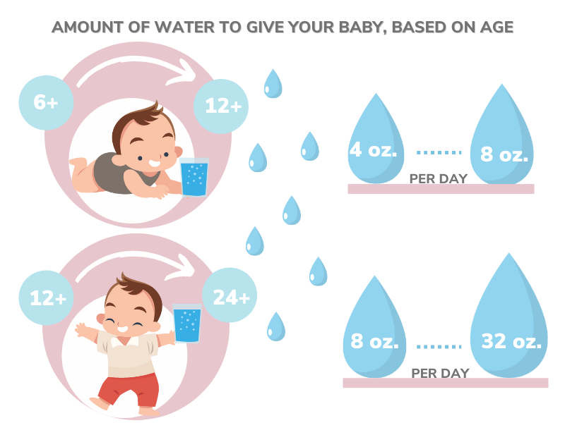 Amount of water to give your baby, based on age