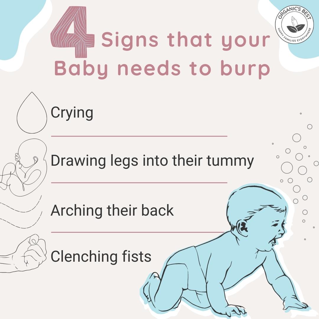Signs That Your Baby Needs to Burp | Organic's Best