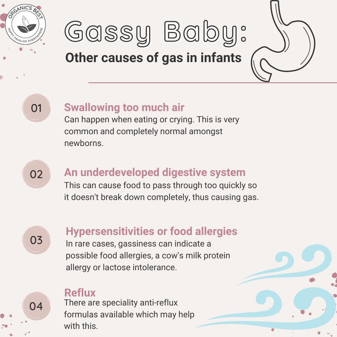 Gassy Baby: Other causes of gas in infants | Organics Best