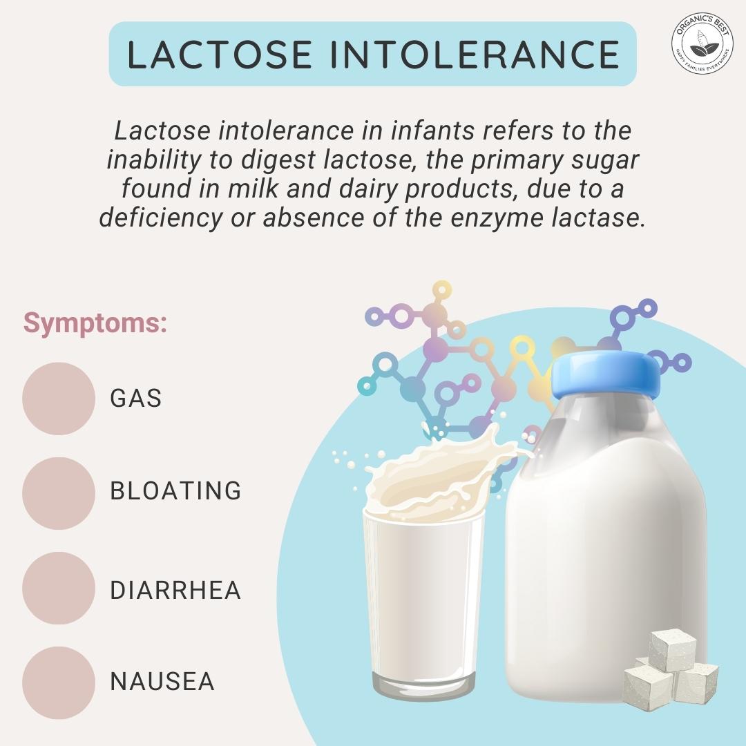 Lactose Intolerance | Organic's Best