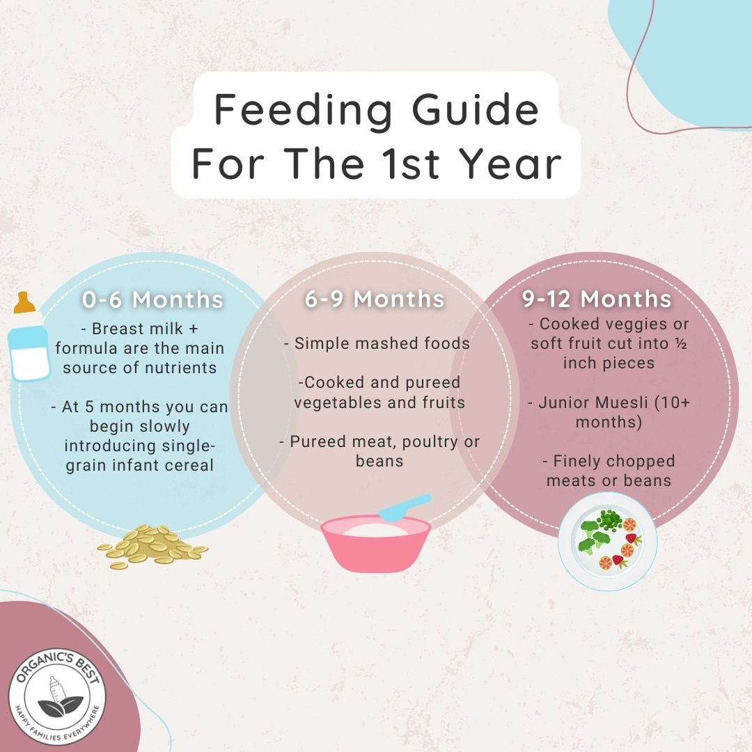 Feeding guide for the first year | Organic's Best