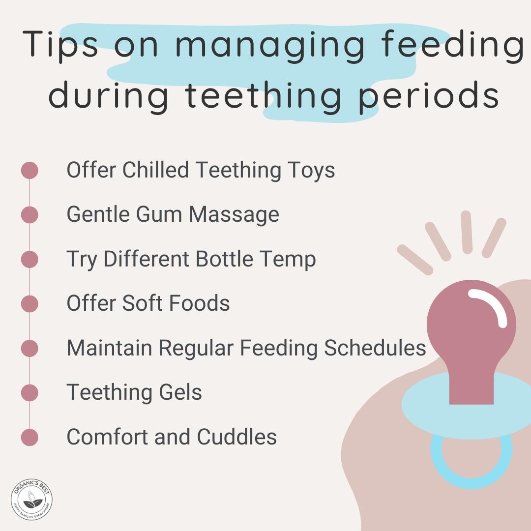 how to manage feeding during baby teething | Organic's Best