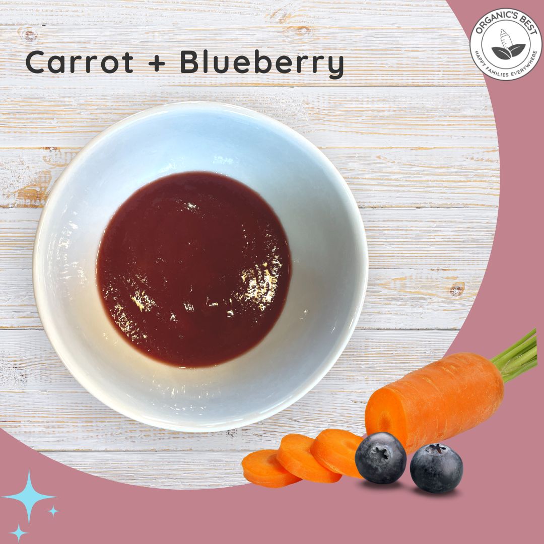 Carrot Blueberry Stage 2 Baby Food | Organic's Best