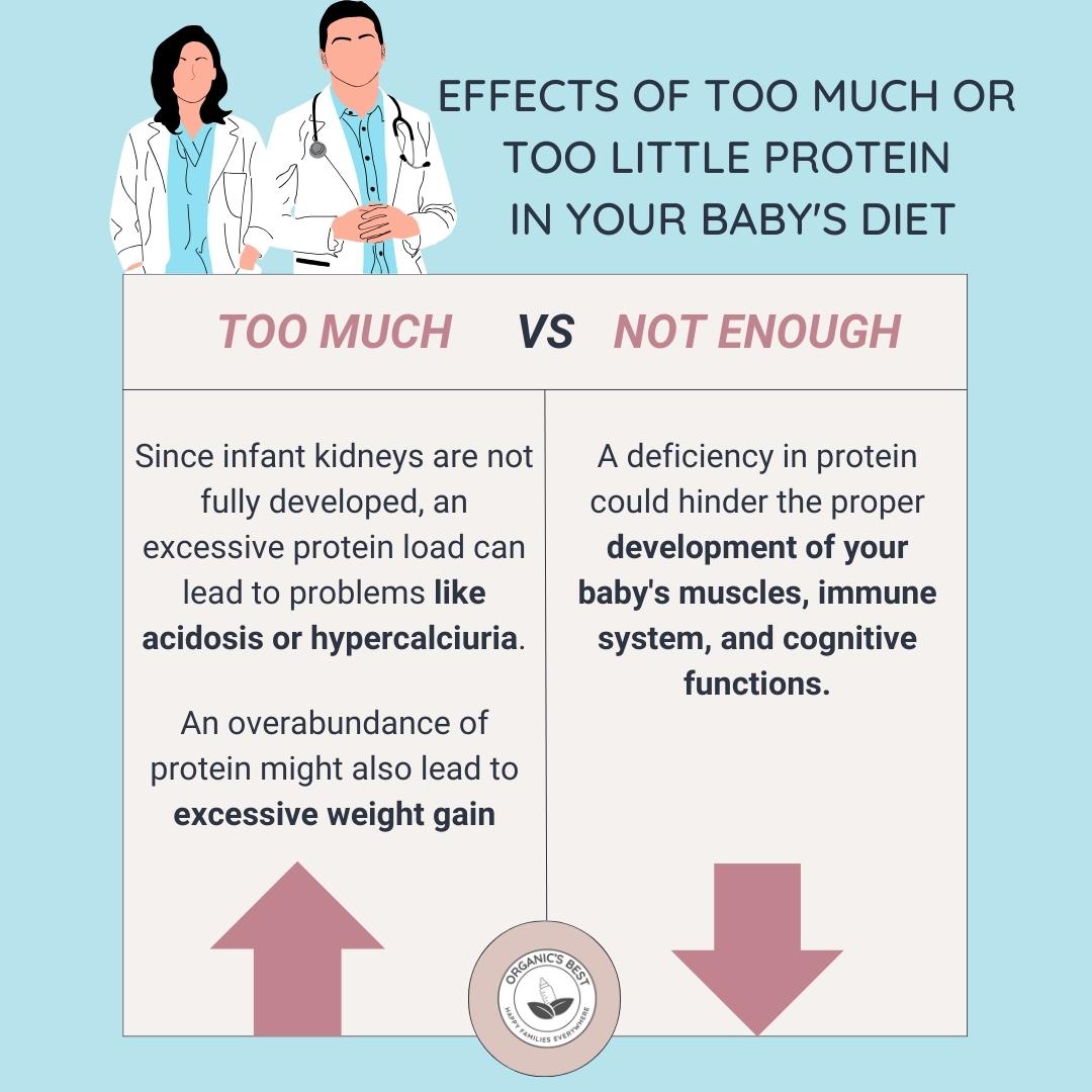 Effects of Too Much or Too Little Protein in Your Baby's Diet | Organic's Best