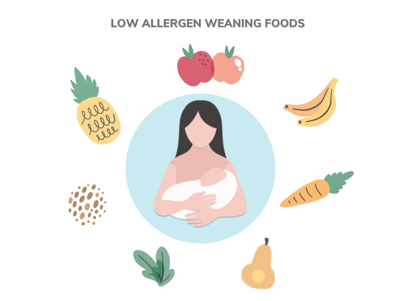 Low Allergen Weaning Foods