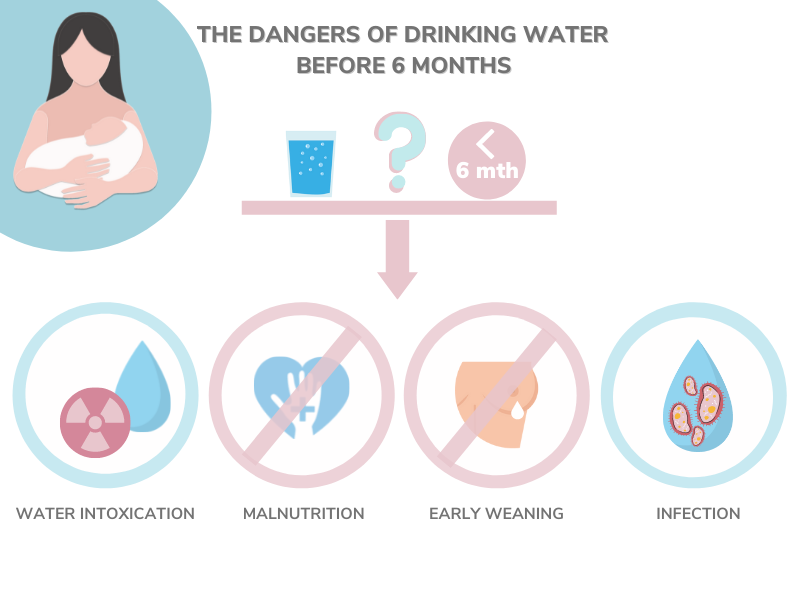 The dangers of drinking water before 6 months