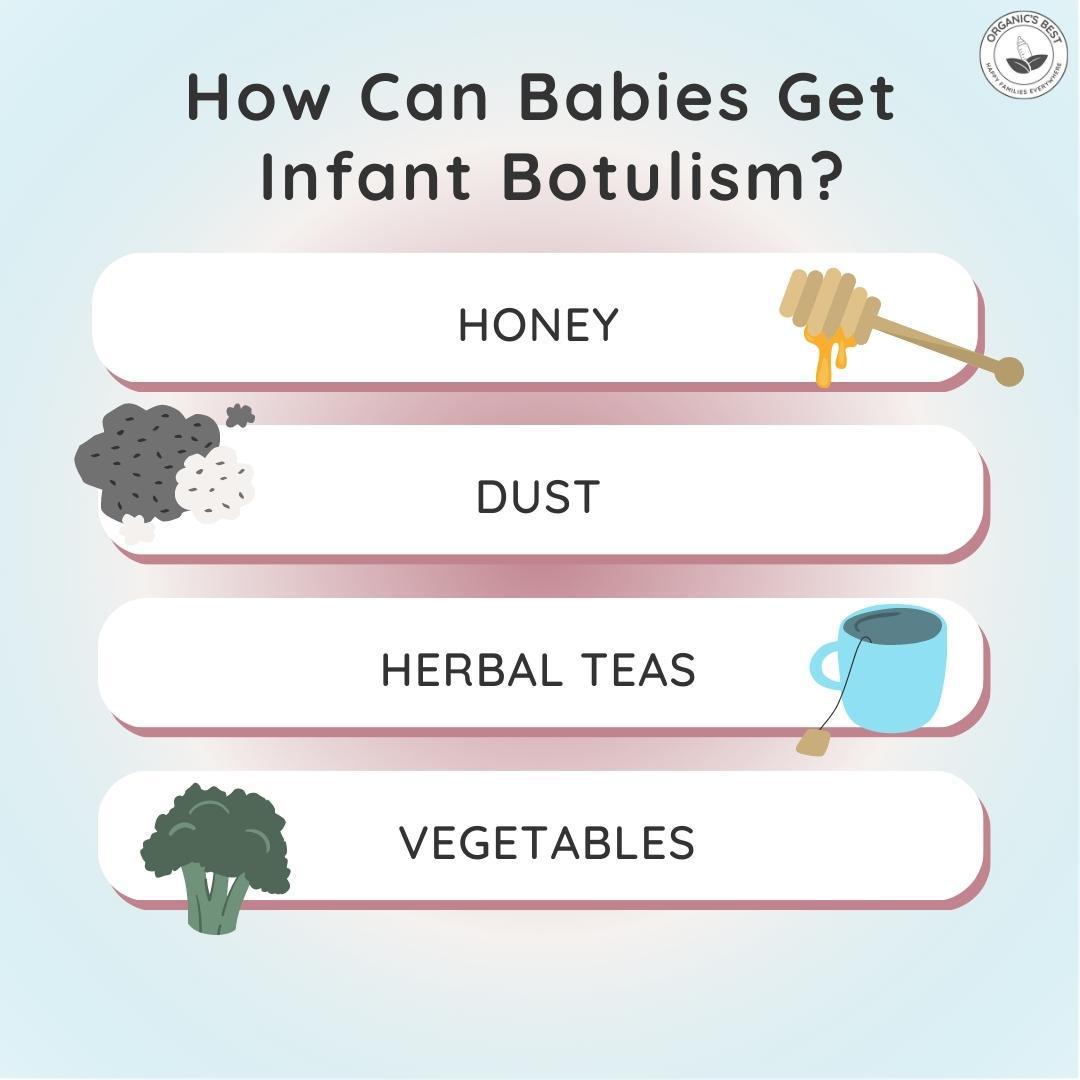 how can babies get infant botulism? | Organic's Best