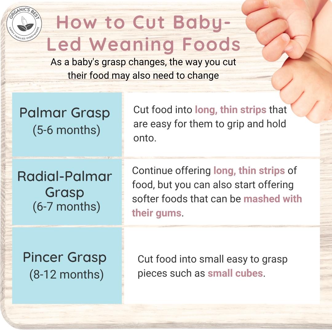 How to Cut Baby-Led Weaning Foods | Organic's Best