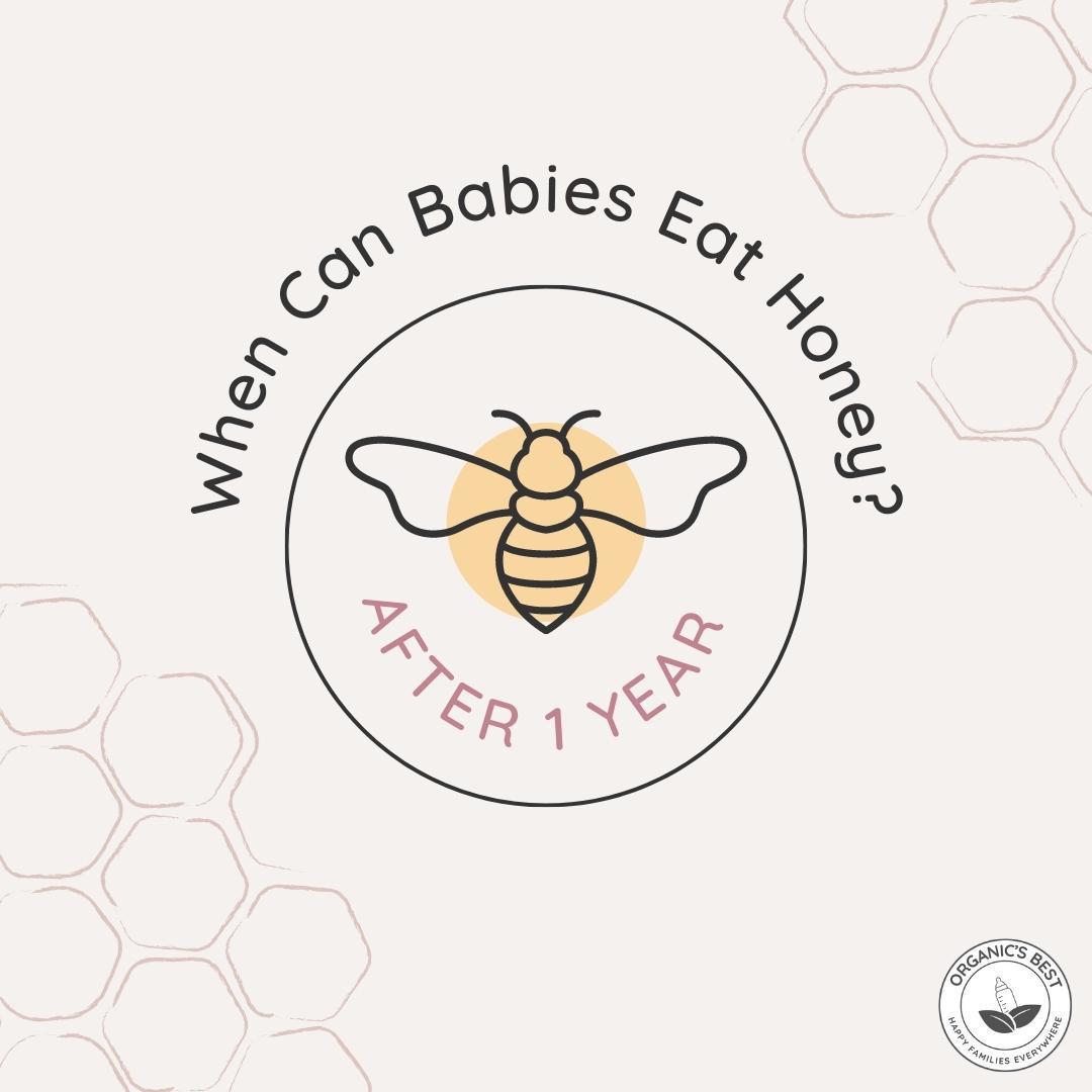 when can babies have honey? | Organic's Best