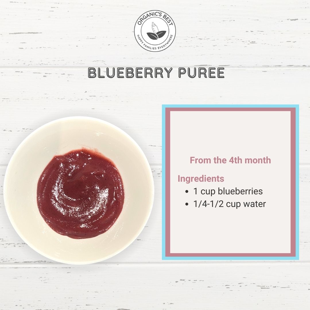 Blueberry Baby Puree | Baby Food Stage 1